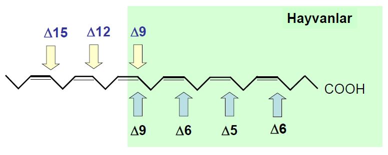 Ad:  lipit39.JPG
Gsterim: 1185
Boyut:  27.4 KB