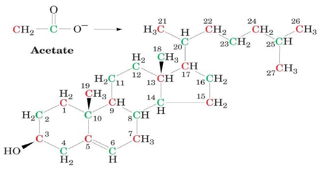 49144d1463948208 kolesterol nedir lipit44