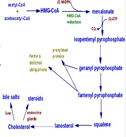 Ad: lipit45.JPG
Gösterim: 2282
Boyut: 38.7 KB