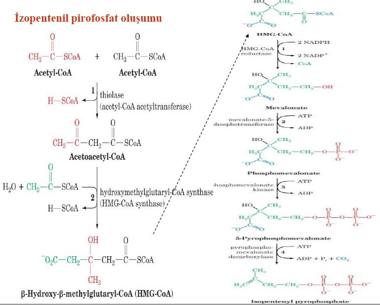 Ad: lipit46.JPG
Gösterim: 2943
Boyut: 64.3 KB
