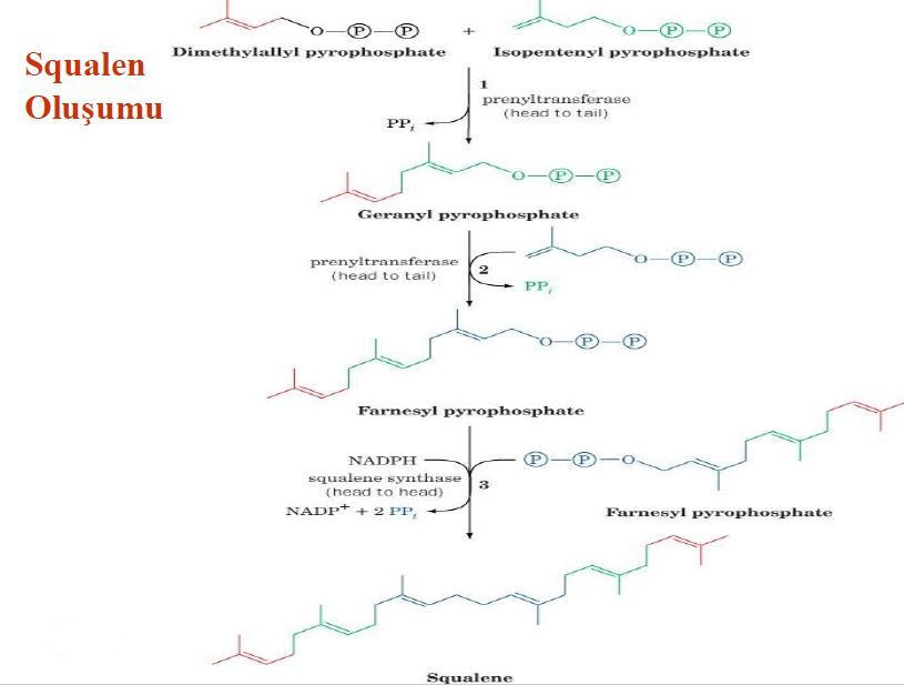 Ad: lipit48.JPG
Gösterim: 2129
Boyut: 42.7 KB