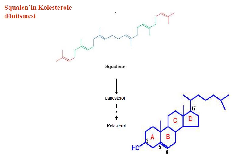 Ad: lipit49.JPG
Gösterim: 2033
Boyut: 30.0 KB