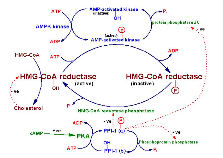 Ad: lipit50.JPG
Gösterim: 2154
Boyut: 60.5 KB