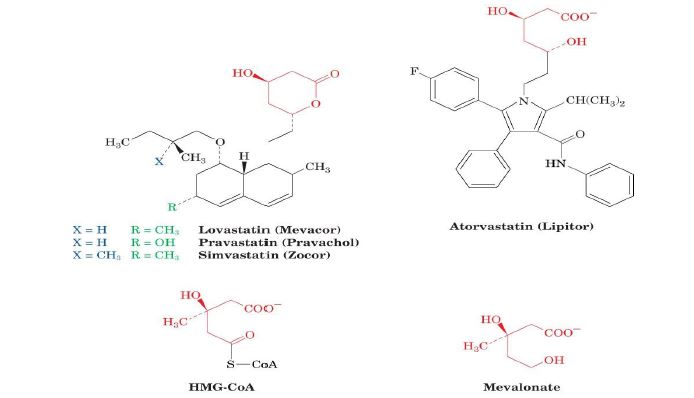 Ad: lipit52.JPG
Gösterim: 1954
Boyut: 29.2 KB