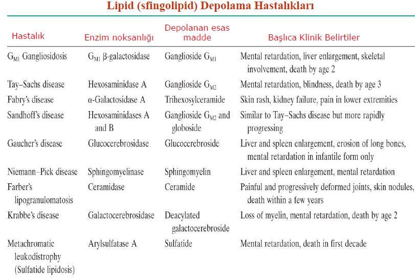 Ad:  lipidus.JPG
Gsterim: 2671
Boyut:  89.3 KB