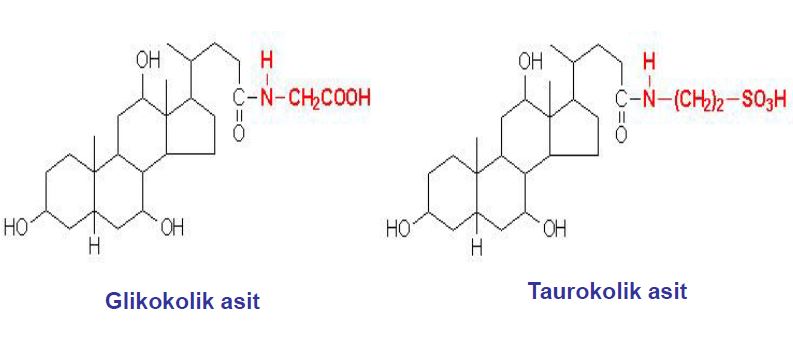Ad: lipit54.JPG
Gösterim: 1796
Boyut: 30.4 KB