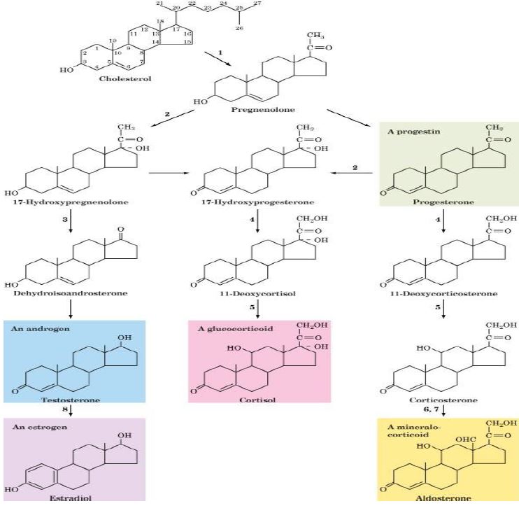 Ad: lipit55.JPG
Gösterim: 1998
Boyut: 65.6 KB