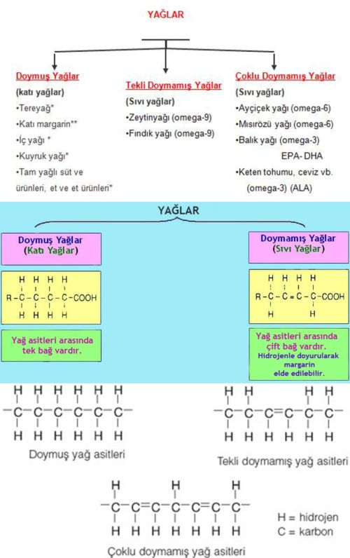 Al�nt�daki Ek 49160