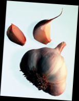 Ad: sarimsak.jpg
Gösterim: 688
Boyut: 5.7 KB