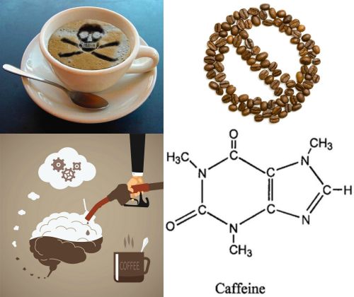 Ad: kafein.jpg
Gösterim: 964
Boyut: 31.5 KB