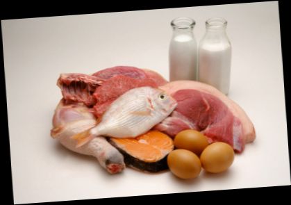 Ad: protein.jpg
Gösterim: 285
Boyut: 15.9 KB