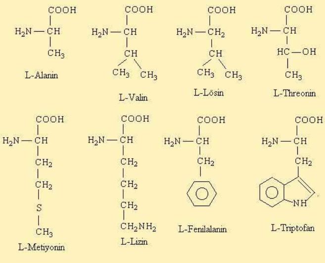 Ad:  aminoasit2.JPG
Gsterim: 2864
Boyut:  45.9 KB