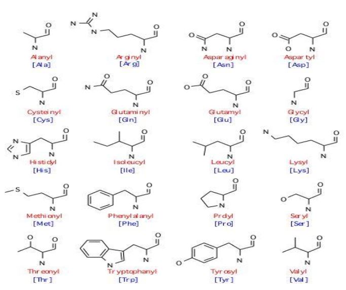 Ad:  aminoasit4.JPG
Gsterim: 2140
Boyut:  47.2 KB