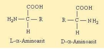 Ad:  aminoasit5.JPG
Gsterim: 3135
Boyut:  15.1 KB