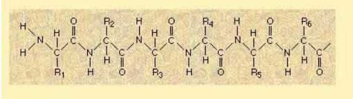 Ad:  aminoasit8.JPG
Gsterim: 1887
Boyut:  23.3 KB