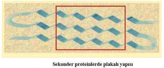 Ad:  aminoasit9.JPG
Gsterim: 1889
Boyut:  32.3 KB