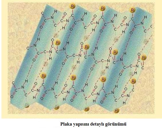 Ad:  aminoasit10.JPG
Gsterim: 2015
Boyut:  67.3 KB