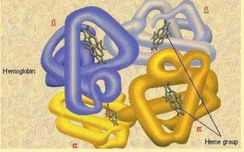 Ad:  aminoasit12.JPG
Gsterim: 1954
Boyut:  42.6 KB