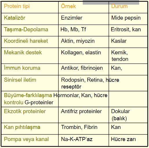 Ad:  protein2.JPG
Gsterim: 2927
Boyut:  66.3 KB