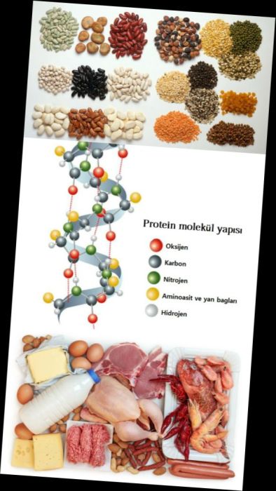 Ad:  protein1.JPG
Gsterim: 3509
Boyut:  49.5 KB