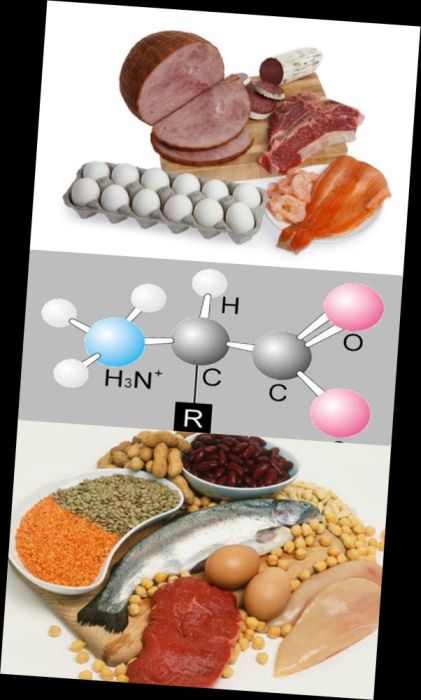 Ad:  protein2.JPG
Gsterim: 2288
Boyut:  43.4 KB