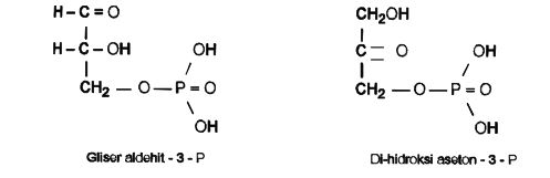 Ad:  karb4.JPG
Gsterim: 1759
Boyut:  16.6 KB