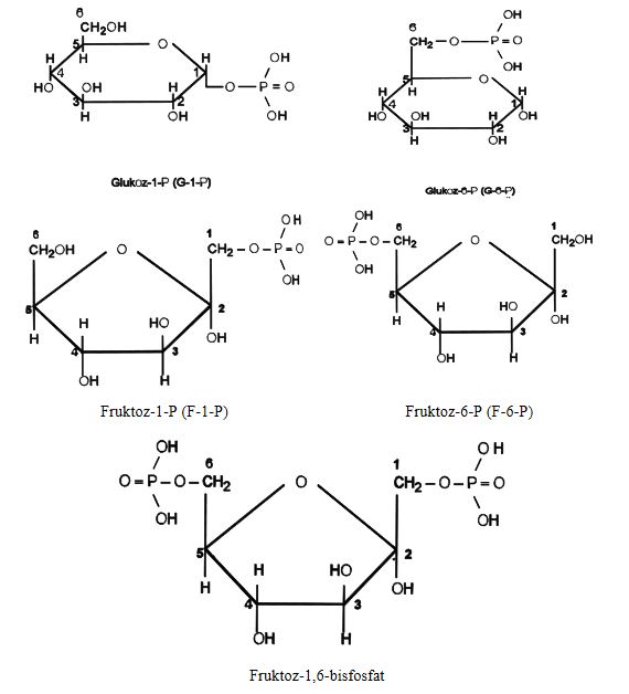 Ad:  karb5.JPG
Gsterim: 2094
Boyut:  43.9 KB
