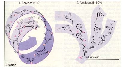 Ad:  karbon2.JPG
Gsterim: 1707
Boyut:  27.4 KB