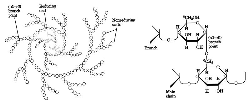Ad:  karbon4.JPG
Gsterim: 1752
Boyut:  45.7 KB