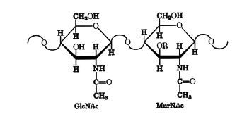Ad:  karbon8.JPG
Gsterim: 1722
Boyut:  15.9 KB