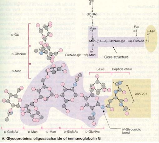 Ad:  karbon14.JPG
Gsterim: 1689
Boyut:  45.4 KB