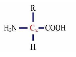 Ad:  aminoasit1.JPG
Gsterim: 1678
Boyut:  11.8 KB