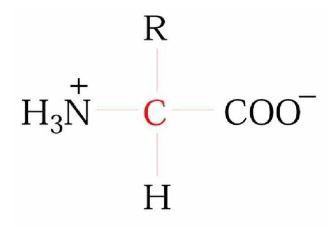 Ad:  aminoasit2.JPG
Gsterim: 1572
Boyut:  12.2 KB