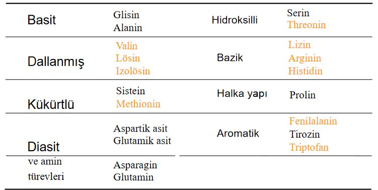 Ad:  aminoasit7.JPG
Gsterim: 1600
Boyut:  45.0 KB