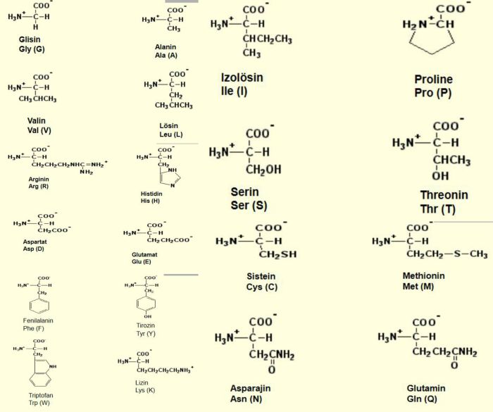 Ad:  amas.jpg
Gsterim: 1927
Boyut:  41.9 KB