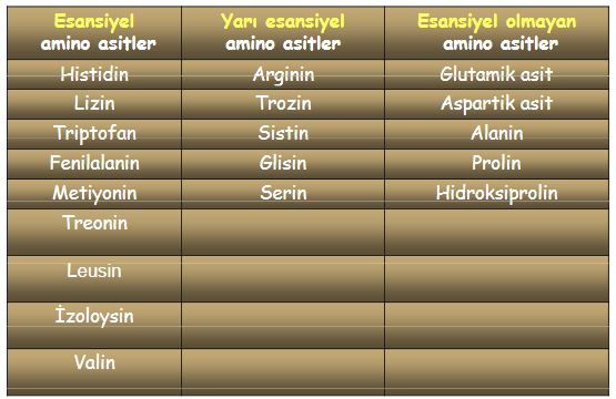 Ad:  aasitler5.JPG
Gsterim: 2907
Boyut:  48.1 KB