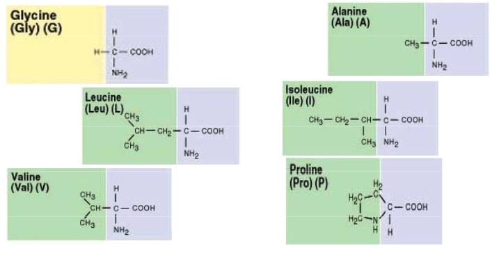 Ad:  aasitler6.JPG
Gsterim: 1474
Boyut:  32.1 KB