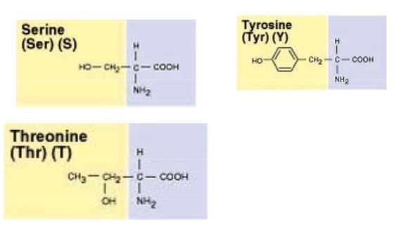 Ad:  aasitler7.JPG
Gsterim: 1434
Boyut:  23.4 KB
