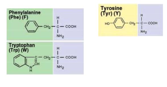 Ad:  aasitler8.JPG
Gsterim: 1505
Boyut:  24.5 KB
