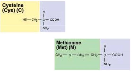 Ad:  aasitler9.JPG
Gsterim: 1352
Boyut:  20.5 KB