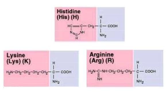 Ad:  aasitler10.JPG
Gsterim: 1341
Boyut:  25.4 KB