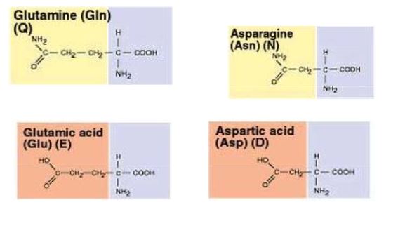 Ad:  aasitler11.JPG
Gsterim: 1526
Boyut:  26.7 KB