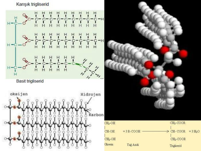 Ad:  ya2.JPG
Gsterim: 1002
Boyut:  53.5 KB