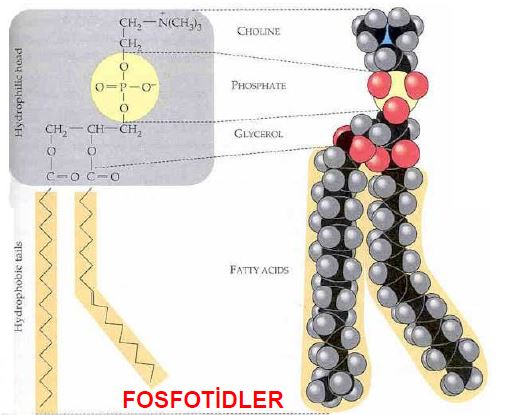 Ad:  ya10.JPG
Gsterim: 907
Boyut:  43.5 KB