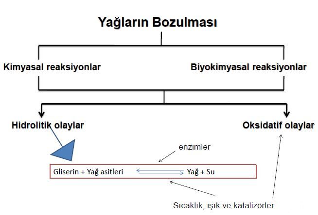 Ad:  ya15.JPG
Gsterim: 948
Boyut:  33.6 KB