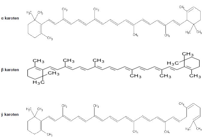 Ad:  v5.JPG
Gsterim: 5089
Boyut:  36.3 KB