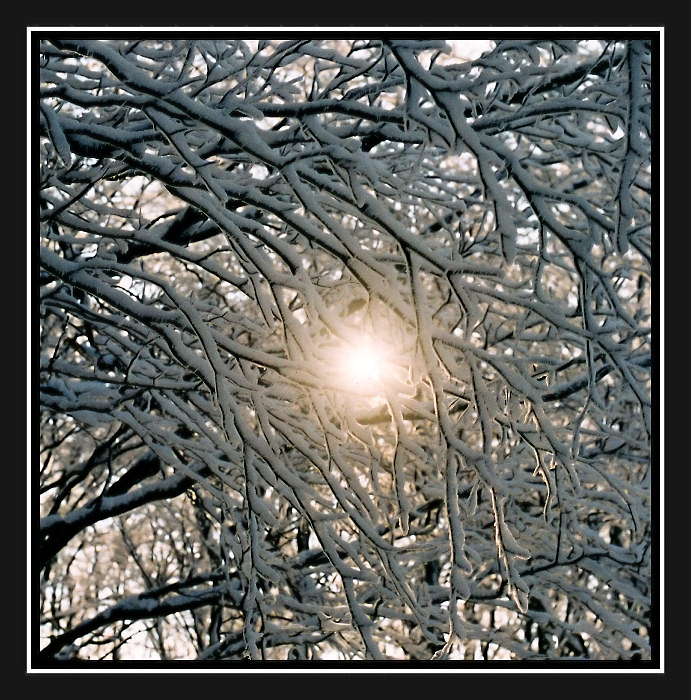 Ad:  branches.jpg
Gsterim: 246
Boyut:  199.9 KB