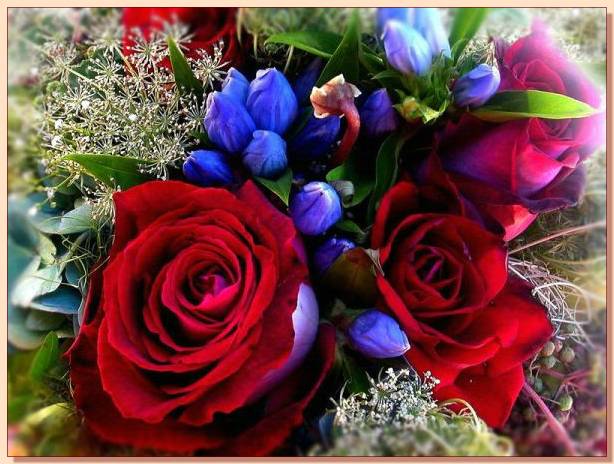 Ad:  gul_312.jpg
Gsterim: 317
Boyut:  56.3 KB