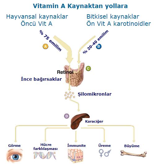 Ad:  va3.JPG
Gsterim: 3558
Boyut:  41.8 KB