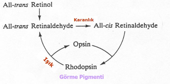 Ad:  va4.JPG
Gsterim: 3672
Boyut:  32.4 KB
